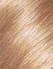 8,3 Natural Light Golden Blonde