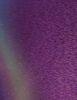 402 Plum Euphoria