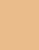 No.27 Honey Beige