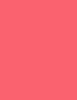 030 Fluffy Rose