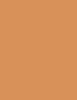 401 Tan
