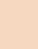 No.13 Bright Beige