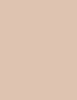 No. 21 Light Beige