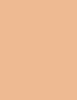 W62 Warm Beige