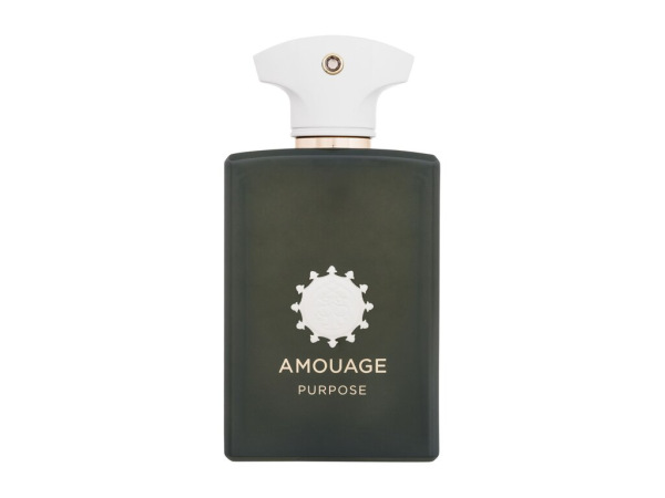 Amouage Purpose (U) 100ml, Parfumovaná voda