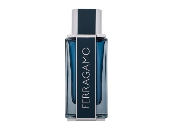 Salvatore Ferragamo Ferragamo Intense Leather (M) 100ml, Parfumovaná voda