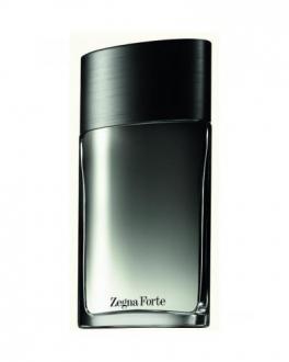 Ermenegildo Zegna Zegna Forte 100ml - Tester, Toaletná voda