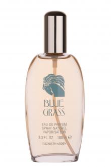 Elizabeth Arden Blue Grass 100ml, Parfumovaná voda (W)